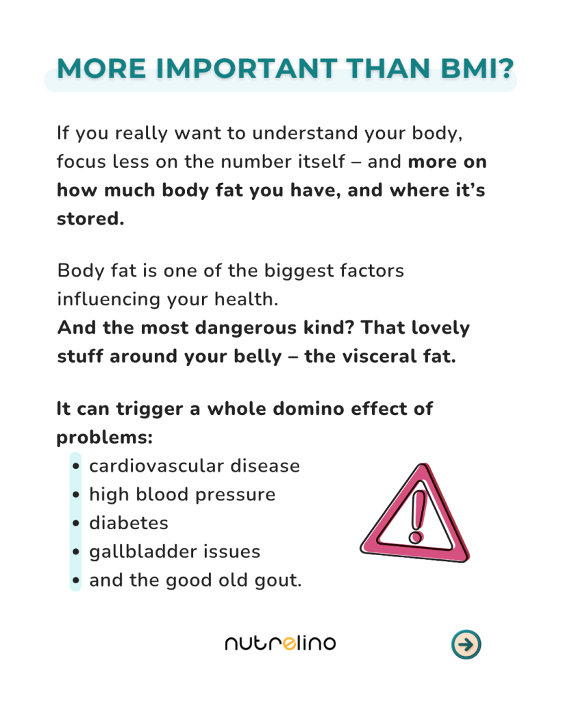 Body fat – the real health factor