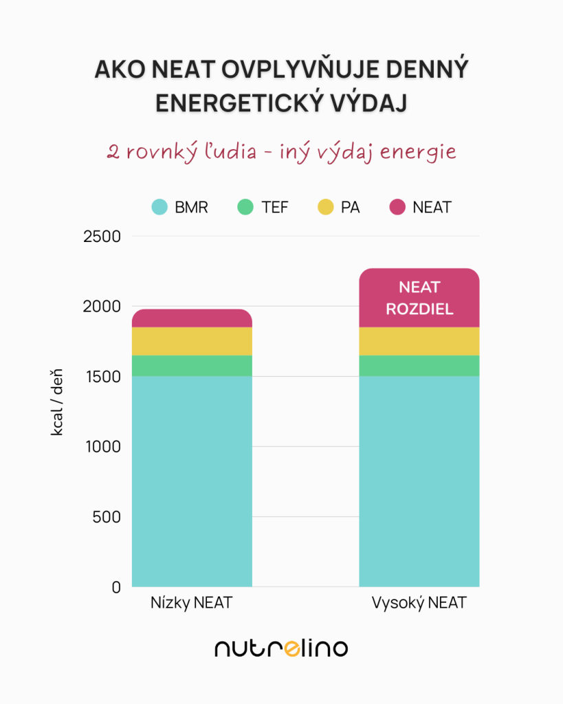 Následující graf ukazuje, proč mají dva lidé se stejným BMR a tréninkem často zcela odlišný celkový denní energetický výdej – rozdíl nedělá trénink, ale NEAT.